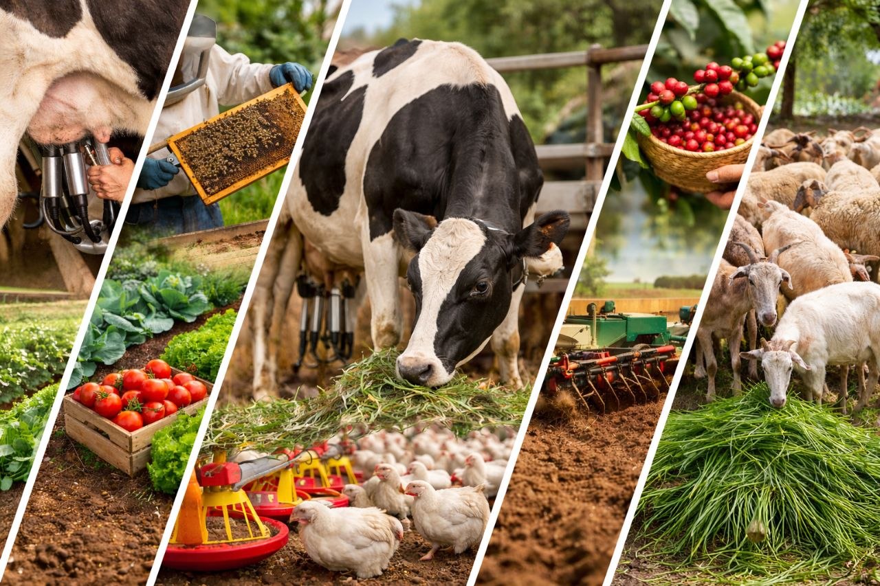 Agriculture Education
